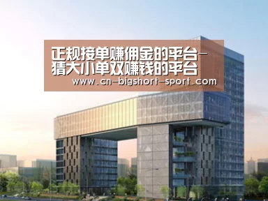 案例展示四(图1)