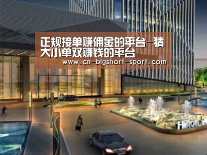案例展示二(图1)