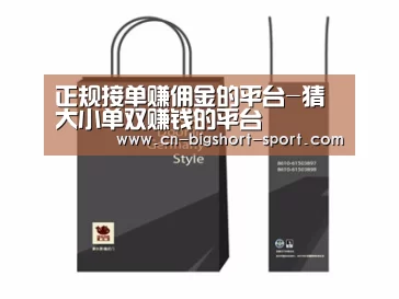 项目名称十四