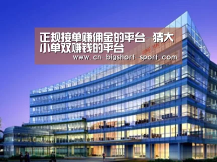 案例展示五