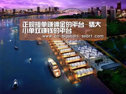案例展示八